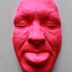 Pink Mockery 20x12cms